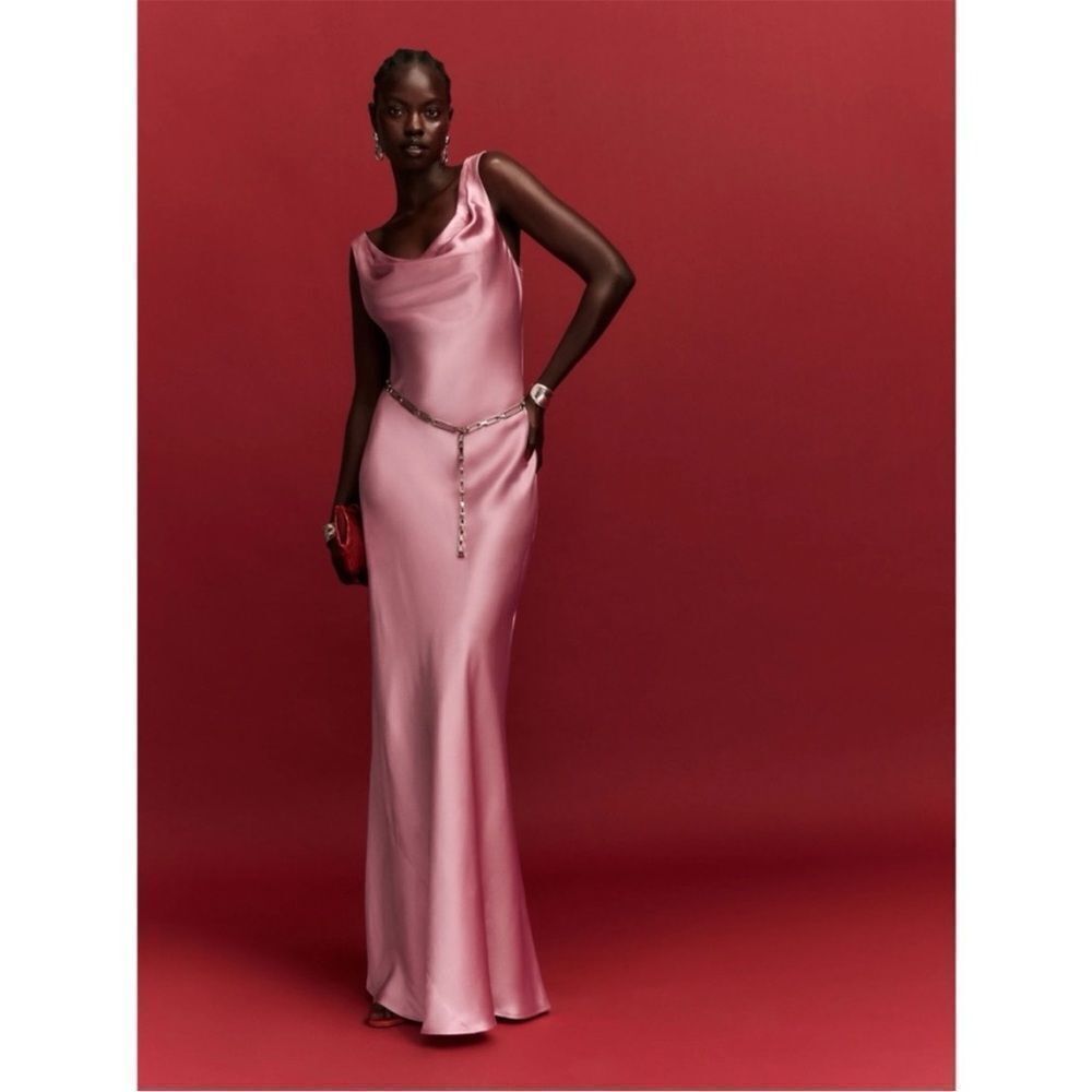 Reformation Annabelle Silk Dress in Rose Petals size 8 NWT
